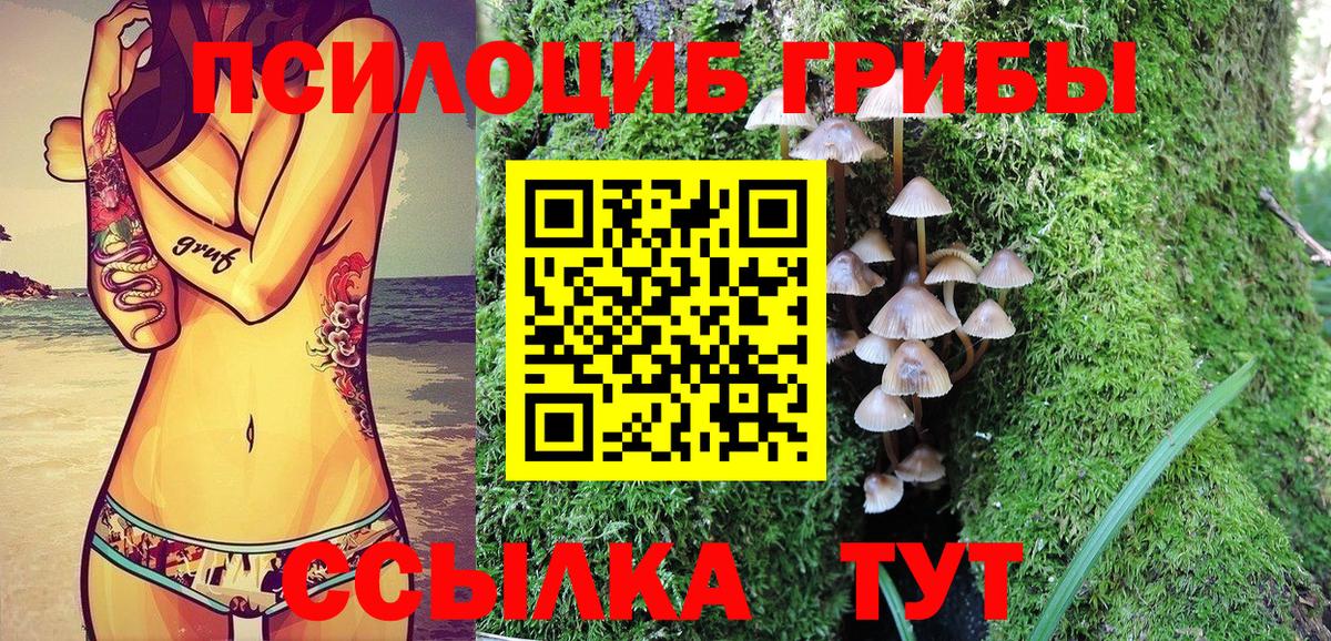 Тельмана  Галлюциногенные грибы Cubensis  Вход с VPN 